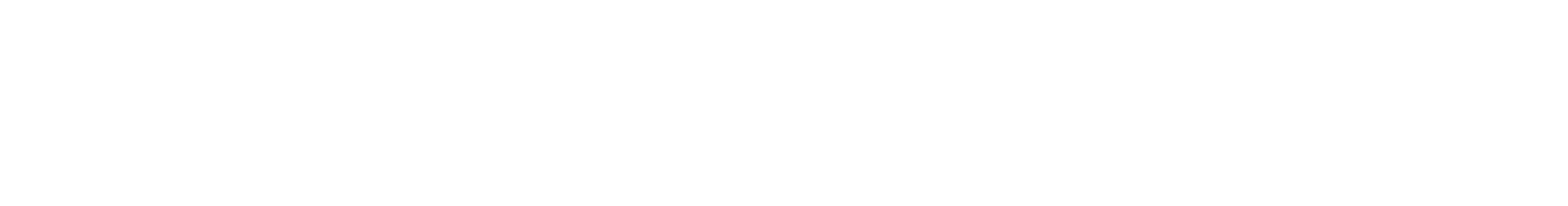 BHUMINETRA